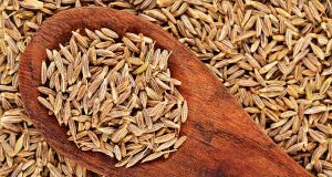 تعبیر خواب زیره ، دیدن و خوردن زیره سیاه و سبز چه تعبیری دارد؟