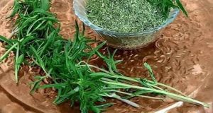 طرز خشک کردن مرزه خوش طعم و معطر + روش نگهداری ، روش خشک کردن مرزه در خانه