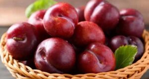 تعبیر خواب آلو دیدن و خوردن از حضرت یوسف و امام صادق (ع)