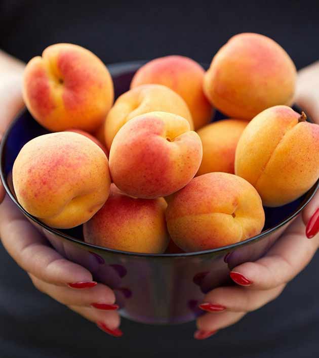 تعبیر خواب زردآلو برای زن باردار از امام صادق (ع) و سایر معبران