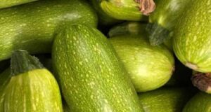 تعبیر خواب کدو سبز امام صادق و ابن سیرین و حضرت یوسف برای دختر مجرد