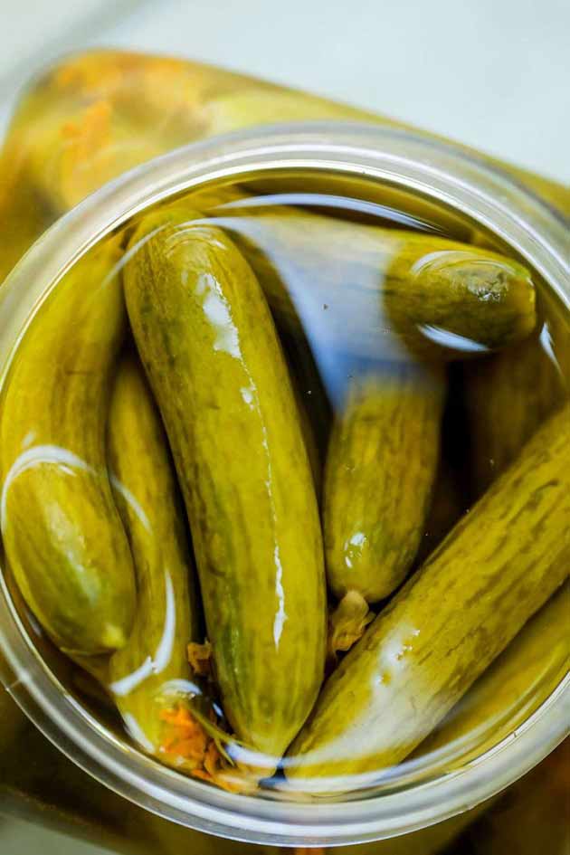 تعبیر خواب خیارشور حضرت یوسف و ابن سیرین برای دختر مجرد و زن باردار
