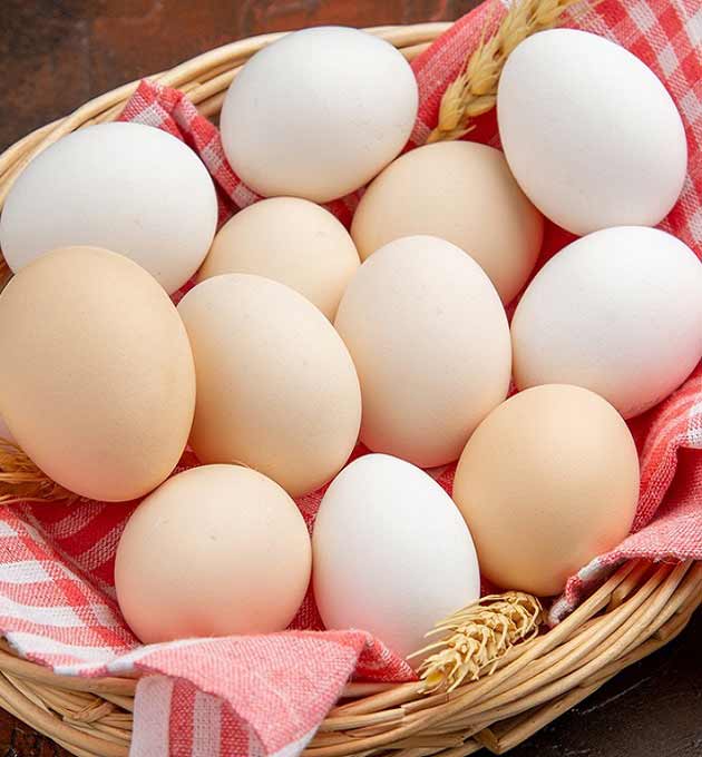 تعبیر خواب تخم مرغ امام صادق و حضرت یوسف برای دختر مجرد و زن متاهل تعبیر خواب تخم مرغ امام صادق و حضرت یوسف برای دختر مجرد و زن متاهل