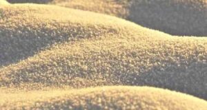 تعبیر خواب ماسه امام صادق و حضرت یوسف و در خانه و ساحل از ابن سیرین