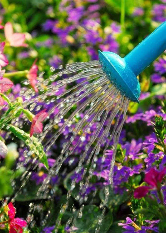 تعبیر خواب آب دادن به گل برای دختر مجرد + گل پژمرده و خشک شده