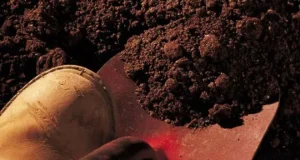 تعبیر خواب خاک امام صادق و حضرت یوسف + خاک ریختن روی سر زنده و مرده