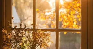 تعبیر خواب نور خورشید حضرت یوسف و ابن سیرین + در خانه برای زن و دختر مجرد
