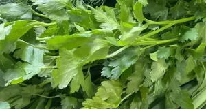 تعبیر خواب سبزی امام صادق و حضرت یوسف + خریدن و خوردن برای دختر مجرد