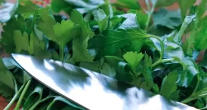 تعبير خواب پاک كردن سبزی ابن سیرین + رازهای پنهان در این خواب که باید بدانید!
