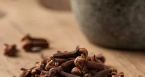 تعبیر خواب میخک تازه و خشک + از ابن سیرین و امام صادق و سایر معبران معروف