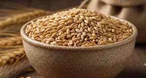 تعبیر خواب جو از امام صادق و ابن سیرین + برای زن متاهل و باردار و دختر مجرد