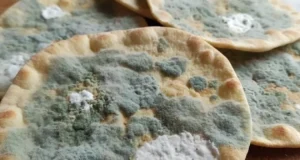 تعبیر خواب نان کپک زده امام صادق و ابن سیرین + خوردن برای زن متاهل و باردار