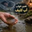 تعبیر خواب آب کثیف، سیاه و گل آلود + نظر امام صادق، حضرت یوسف و ابن سیرین